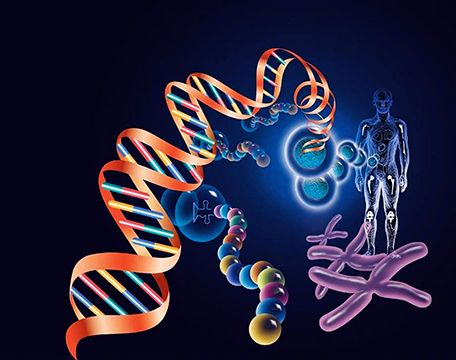 生物工程